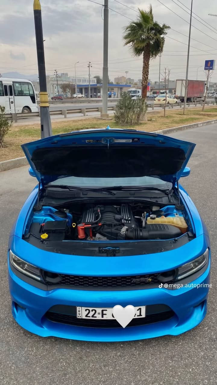 دوج جارجر  سكات باك 6400 🐝🐝
موديل 2019 لون مميز 
ماشية 56 الف مايل 
محرك ، 8 سلندر 
حجم  المحرك 6.4 لتر 
القدرة الحصانية 485 حصان
السيارة فول مواصفات 1/1 
جكات تصعد وتنزل 
كشنات جلد 
فتحه
حساسات
تدفئة تبريد كشنات
رادار النقطة العمياء بلمرايات
تايرات جديده
ستيرن RBM كهربائي
ضرر باب سرقه وجاملغ وحافه البنيد 
بدون ايرباك . 
للسفسار ***********‬
