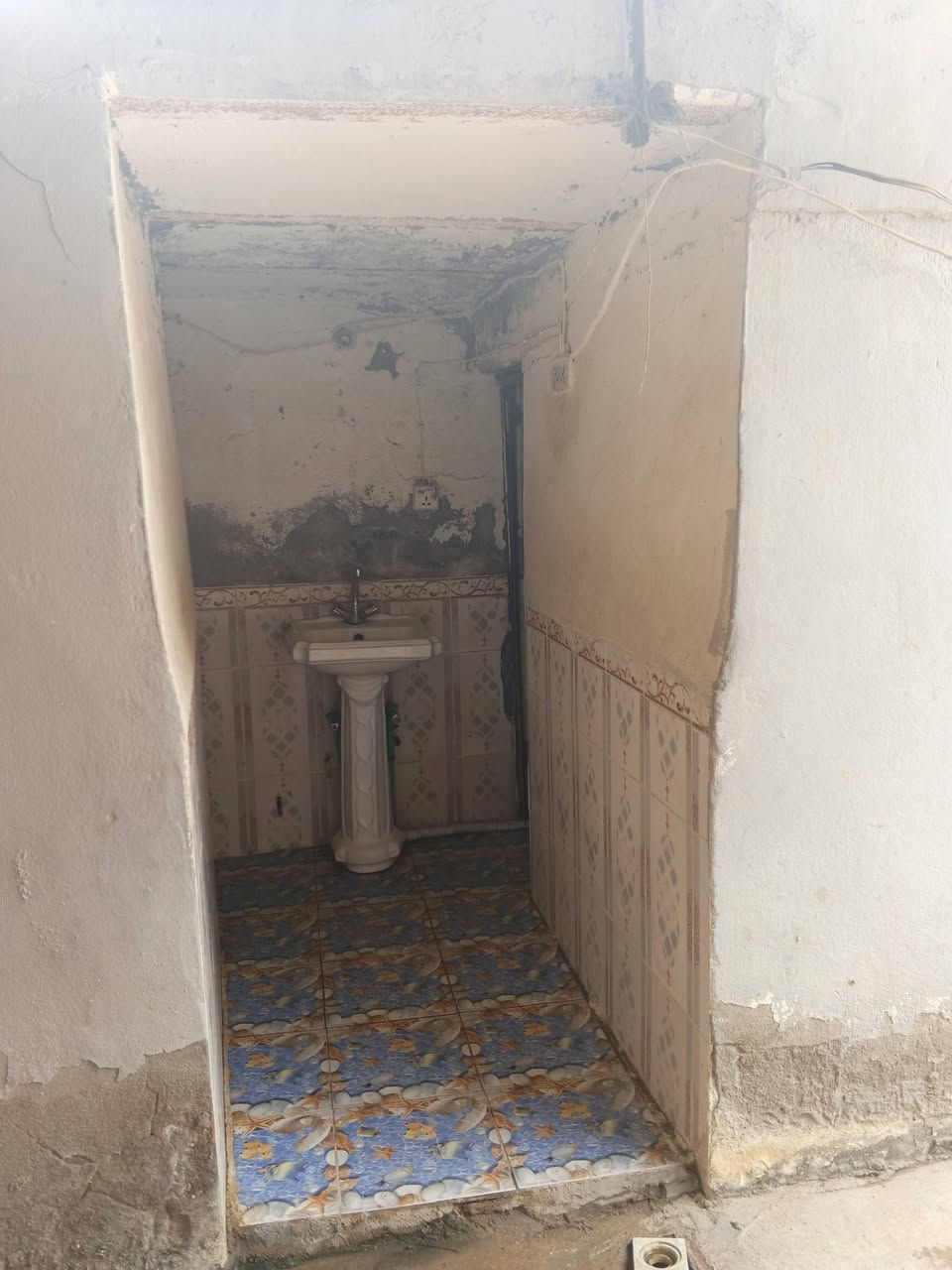 بيت للبيع  منطقه ال معالي ..
مساحة البيت تقريبا 300 .مع المشتمل 
البيت بي براني منفصله وطارمه كبيره ومطبخ وصاله وغرفة وحده 
المشتمل طارمه ومطبخ وغرفتين  المطبخ سنوديج.. البيت مسكون حاليا ..
موقع البيت .ال معالي النزله الي مقابيل المدارس الصينيه.
سعر البيت 55 مليون  طابو زراعي سند 25 
***********
