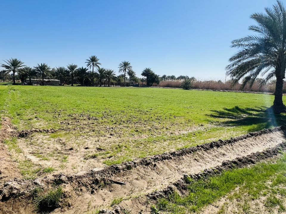 للبيع……

ارض زراعيه مساحتها (دونم واحد) ماء وكهرباء وشارع محاذي الها من جهتين  تبعد عن الشارع العام. ٢٠٠٠متر نص تبليط ونص ترابي  موقعها فرع عبيد السلطان   السعر 65 قابله للتفاوض للاستفسار اكثر الاتصال على الرقم ‭٠٧٧٨ ٠٦٣ ٢٥٨٣‬

سلوان الدليمي
