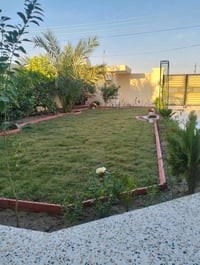 بابل • تنظيف حدائق • زراعة ثيل