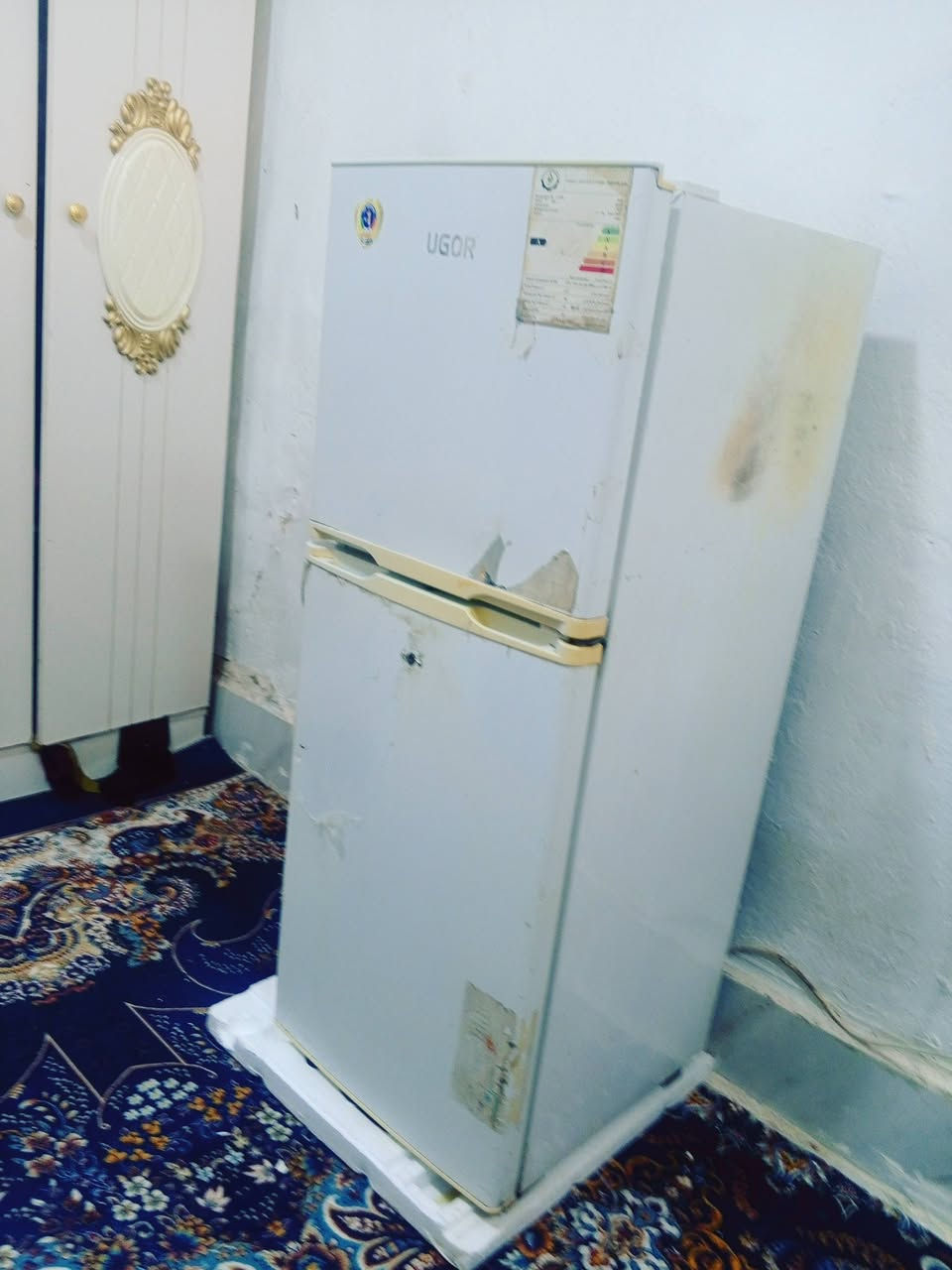 ثلاجه للبيع/سعر١٣٠ ماداخله تصليح/شغاله نضيفه/
توصيل ماعندي مكاني الامين الثانيه شارع النواب/
القياس الطول١٢٠سم/العرض٤٥ سم


**إذا كنت صاحب هذا الإعلان وتريد حذفه لأي سبب، رجاءا أرسل رسالة إلى الدعم الفني**