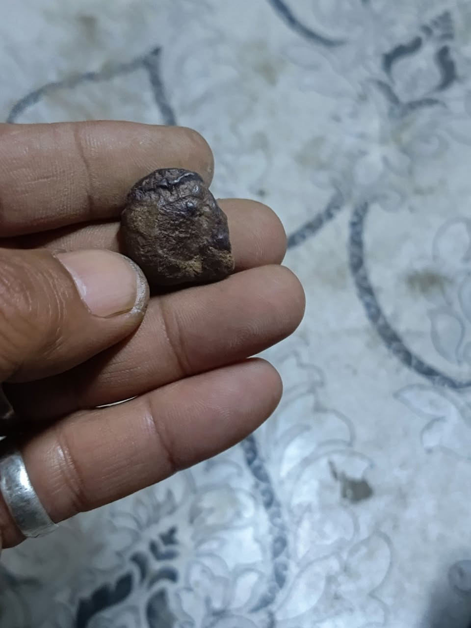 هبهاب خام مصور وجه رجل واضح وصريح يوجد توصيل


**إذا كنت صاحب هذا الإعلان وتريد حذفه لأي سبب، رجاءا أرسل رسالة إلى الدعم الفني**