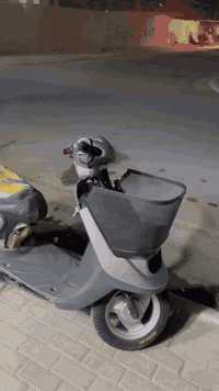 السلام عليكم 
حبايب منغولي للبيع الدراجه كدامكم مكاني كربلاء حي العسكري قرب جامع العمرن دراجه نقصها بس كشن كلشي مابيها هندر واحد تشتغل مفتوحه اني مجفتها ب ايدي يعني مو تجفيت كلاوات سعرها(170) موجود واتساب او اتصل ***********
