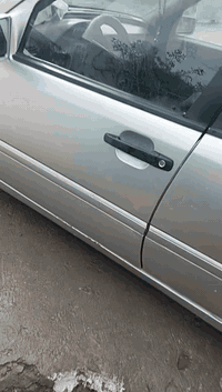 ما رسدس البيع أو مراوس مواصفات فول رقم ***********
