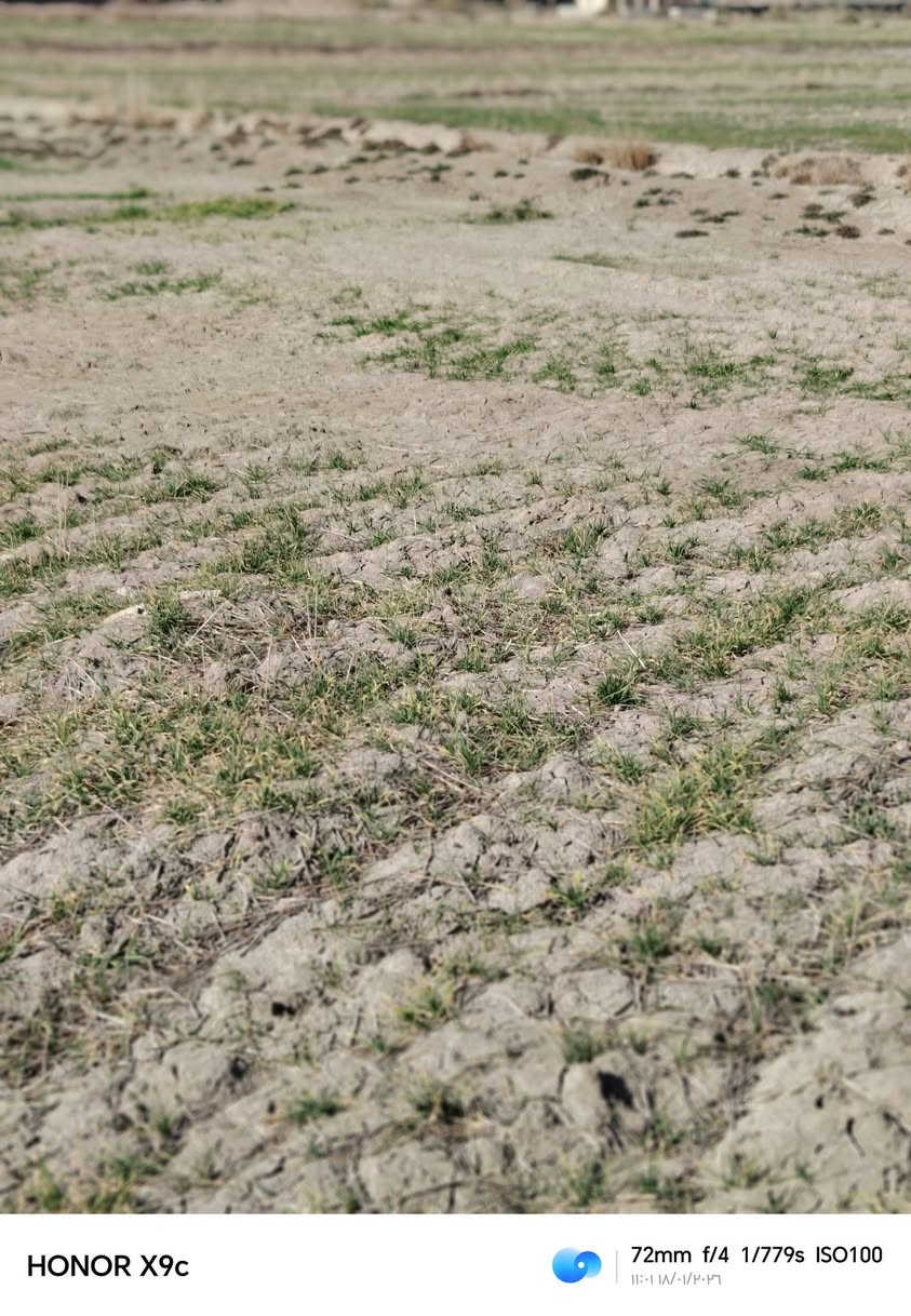 ارض زراعيه للبيع كل الخدمات متوفره ماء كهرباء مدارس مستوصف تقع على طريق سيد أحمد الرفاعي واجهيه الكاع عله الشارع العام قريبه عله الولايه ***********@ *********** اي استفسار خاص
