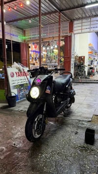 سكنس جبلي • ماكو هيج • محتاج