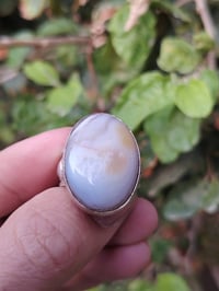 محابس • سليماني • رصاصي