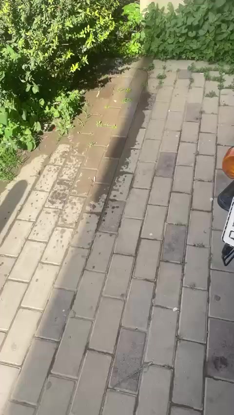 سلام عليكم بوكسر٢٢ شهر ١٢ تعبتر ٢٣ رايده ٢١٥٠ وبيه مجال بسيط مجفته تجفيت شركة مكفوله من كلشي***********
