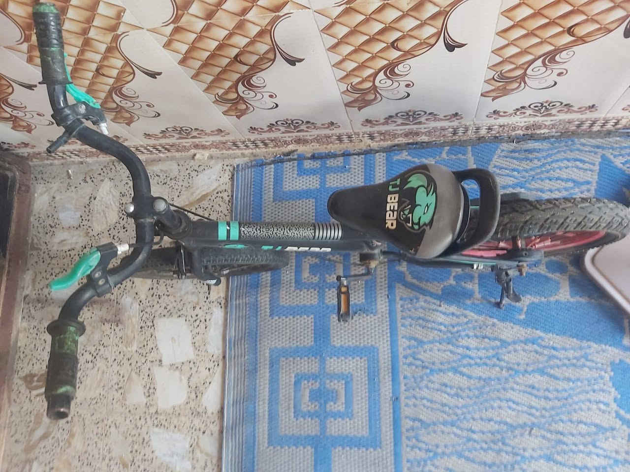 حجم 16 جاهز السعر  35 الف  مكاني خلف مجمع بسمايا واكو توصيل فقط بغداد حاليا متوفر


**إذا كنت صاحب هذا الإعلان وتريد حذفه لأي سبب، رجاءا أرسل رسالة إلى الدعم الفني**