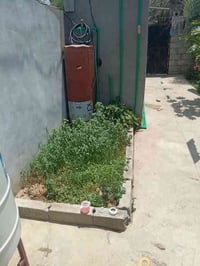 خانقين توله فروش • ١٨٠م • قسط