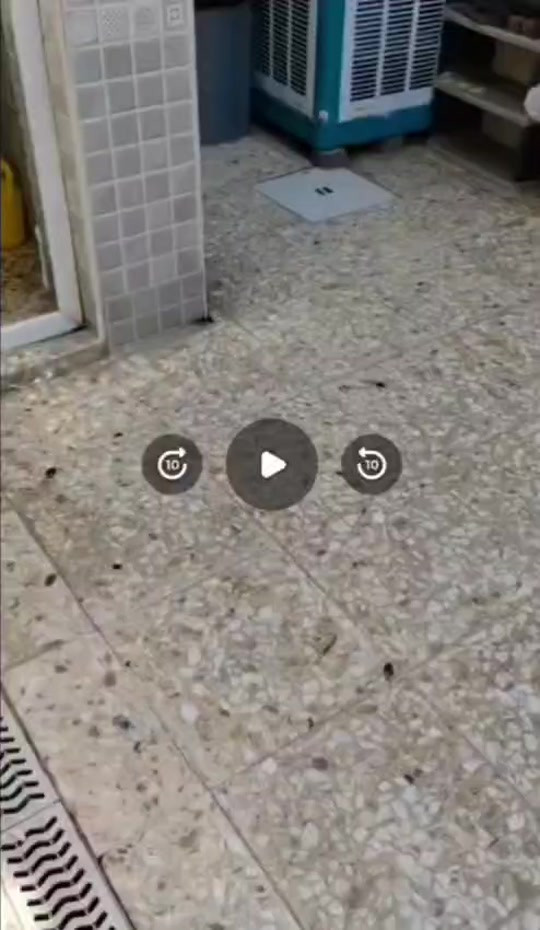 #بيت زراعي بالسفير طابق واحد بيت ركن عالي عن الشارع نظيف تبليط مجاري كهرباء قريب ع سوك العبيدي قريب ع روضه الياقوت السلام مساحته البيت 125بناء طابوك السعر 95 الاتصال على الهاتف ***********
