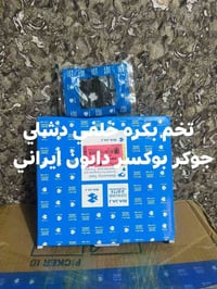 بوكسر • ايراني • دايون