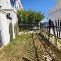 هولیري نوي • ١٠٠م • ٤نوم