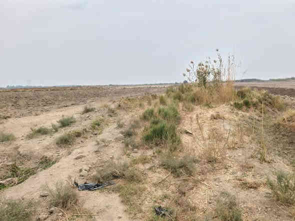 للبيع 5دونم طابوزراعي سند 25 مداور بسم المشتري الديوانية السنيه قرب سيد جراس تبعد عن الشارع العام 2كيلو ارض حلوه وصالحه للزراعه للستفسار تعال خاص اواتصل ***********واتساب
***********
