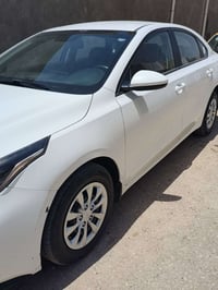 ٢٠٢١ • بدون صبغ • رقم جديد اربيل