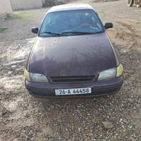 كارينا • ١٩٩٣ • سنوية ٢٠٢٩