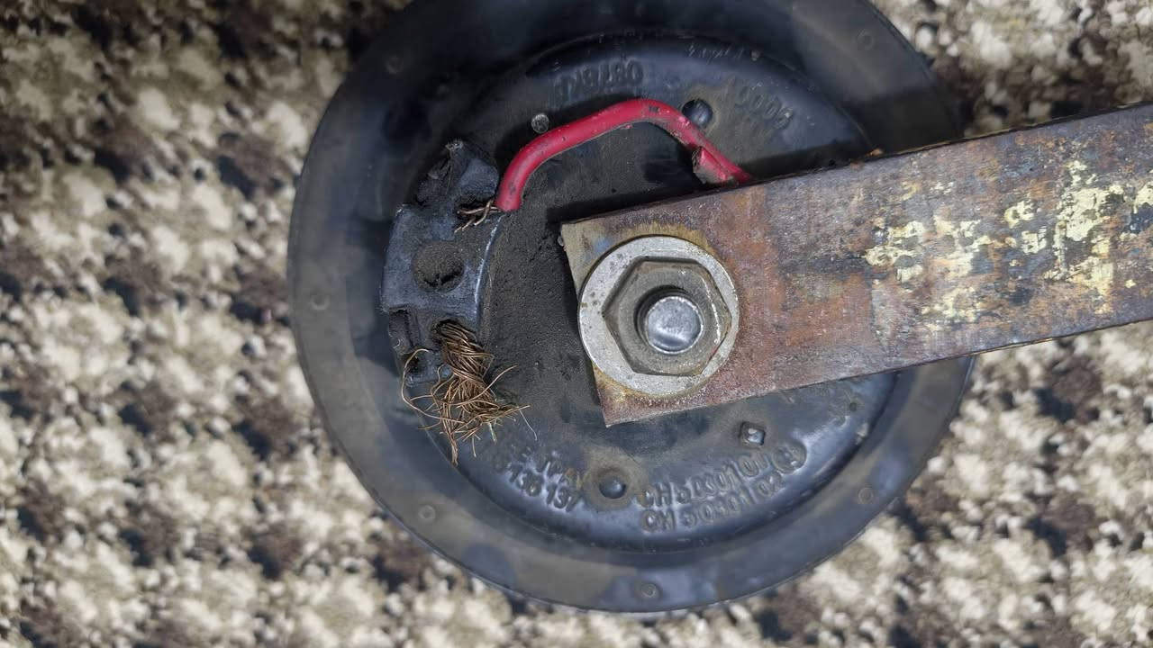 سلام عليكم
هورنات بوش حناين اصلي اصلي للبيع ما مستعمل هواي 
نضيفات اخوات الجديد 
سعرهن 200$ دولار 
مكانهن واسط قضاء الصويرة 
أي ستفسار اتصال ***********
