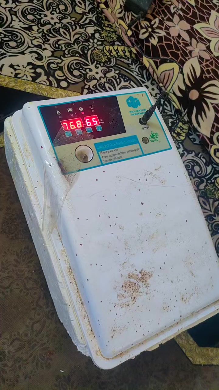 مفقسه تاخذ 24بيضه السعر 50قفل


**إذا كنت صاحب هذا الإعلان وتريد حذفه لأي سبب، رجاءا أرسل رسالة إلى الدعم الفني**