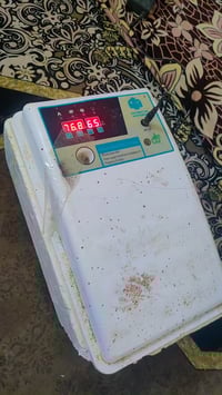 مفقسه • ٢٤بيضة