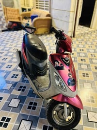 ماكس منغولي • للبيع • القاسم