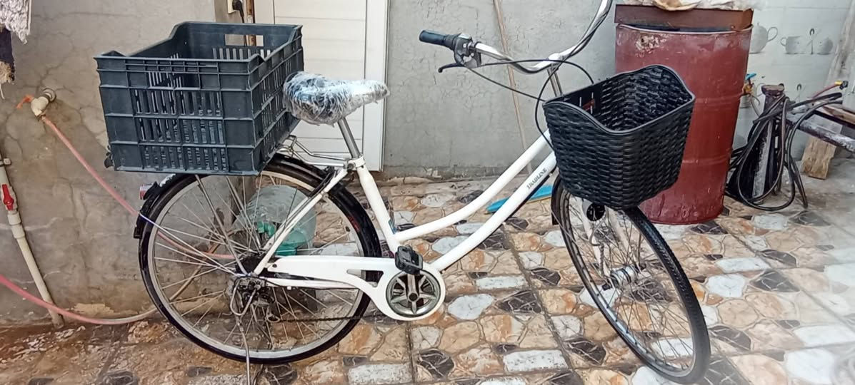 باسكيل حجم 72 6كير ***********
