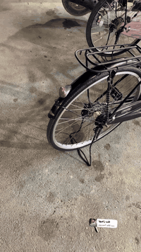 بايسكل شركه سانتوس  موديل2020  بايسكل نضيف   سعره هوا وغراض سعر   بدون...