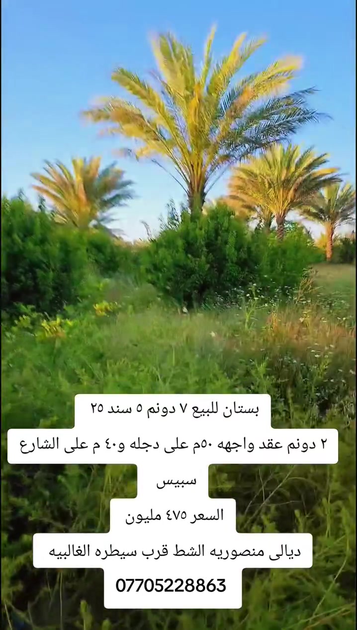 7 دونم على شط دجله ٥ سند ٢٥ طابو زراعي و٢ دونم عقد 
ديالى منصوريه الشط 
سعر ٤٧٥ مليون ***********
