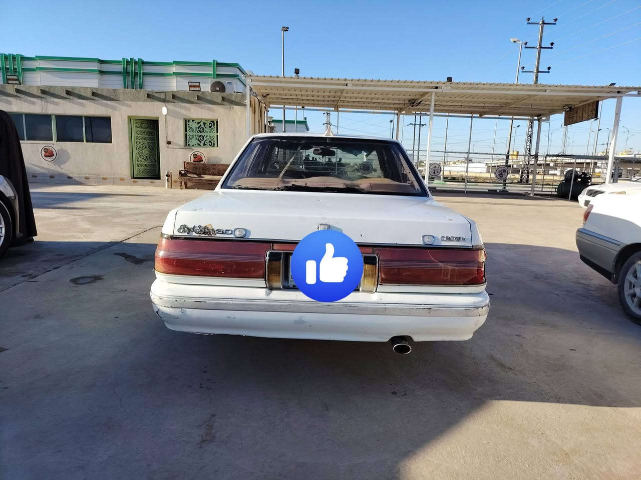 هارتوب ٩١ مشروع وطني
السعر ٢٥ وبيه مجال بسيط
مكانه الشطره
وراعيه موجود بلشطره
مداور ثاني يوم
***********
