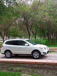 سانتافي • فول فوله • ٢٠١٠