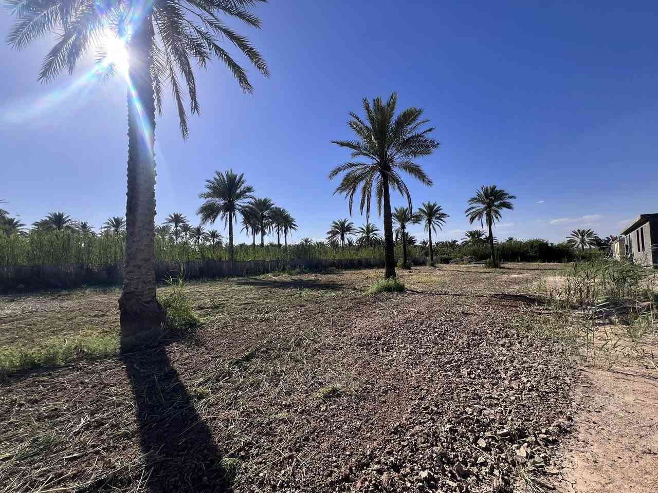 السلام عليكم
دونم للبيع طابو باسمي واجهه 27 متر قرب جسر الصويره ( باللوفه مال جسر ) يبعد عن الشارع العام 100 متر تقريبا متوفره بي خدمات 
للاستفسار ***********
