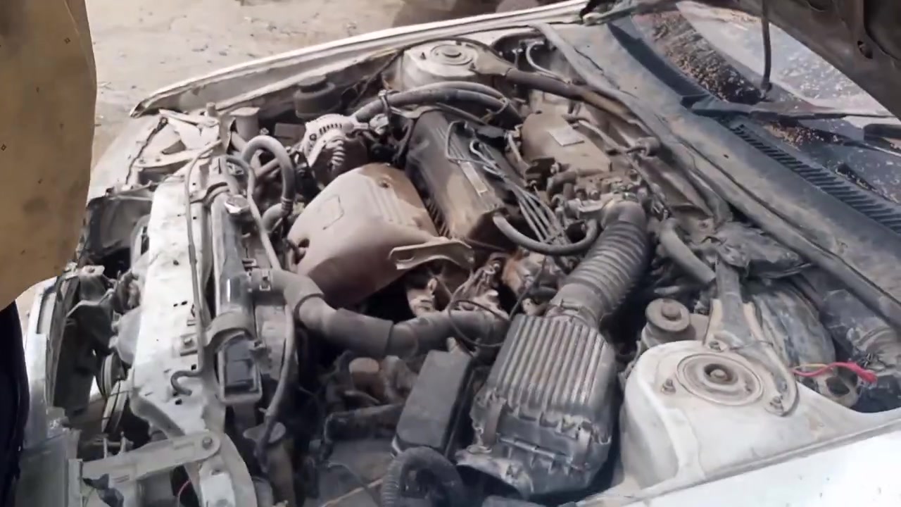 تفصيخ كرونه عظم شتحتاج غراض اتصل على الرقم
***********
العنوان حله طريق جامعة بابل مقابل بكر ابن علي 
مكلف بالنشر
