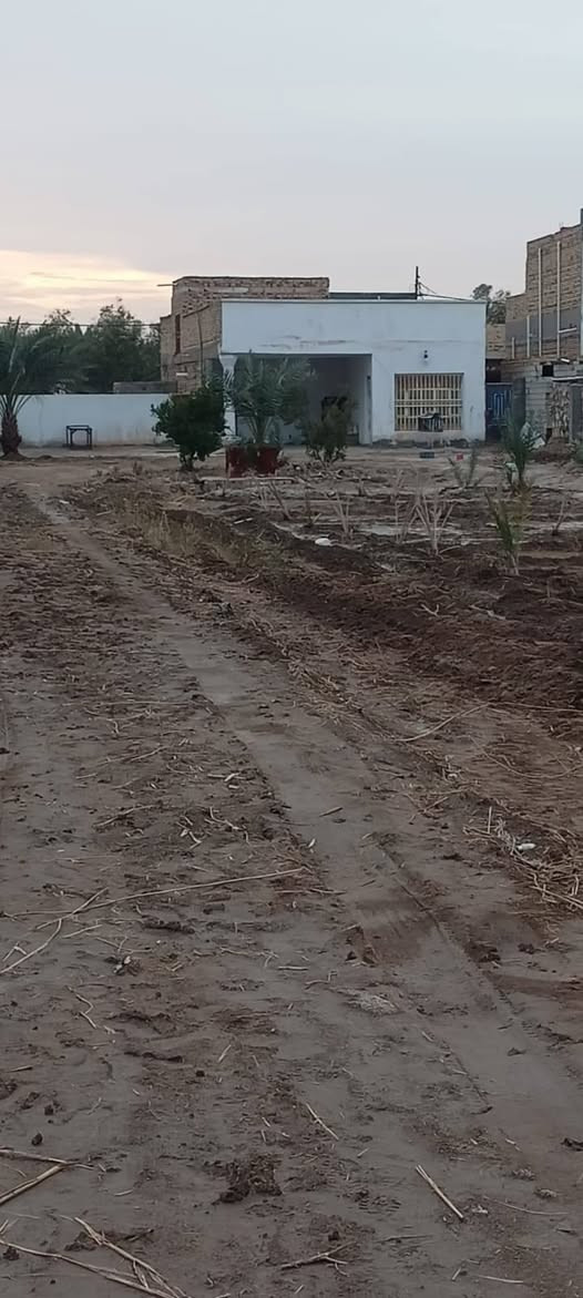 سلام عليكم من رخصت ابو الكروب بيت اللبيع طابو زراعي سند ٢٥ مساحة دونم كونكريت مسلح يتكون من غرفتين نوم وصالة واستقبال ومطبخ وصحيات داخلية وخارجية خدمات كاملة كهرباء وماء اسألة على شارع العام مباشر العنوان طريق السنية الاتصال على الرقم ***********
