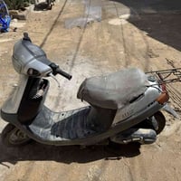 بطة • بوربرين • نقصها