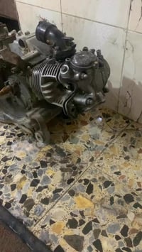 للبيع مال ثعلب نضيفة مكاني كاضمية الرقم 07760481866