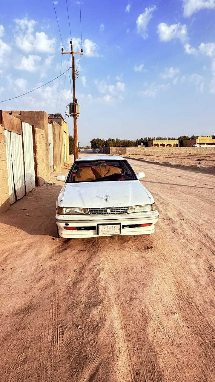 مارك كصيف مديل 91مكفوله من ضربه ونقل وكص السعر 47وبيه مجال
*********** البصره الزبير
