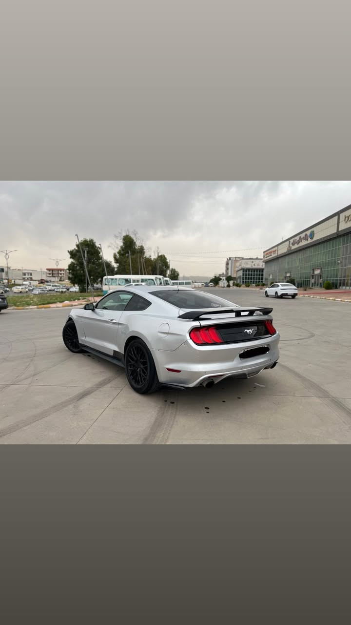 سعري 59$ مەجالێ زۆر کەم ***********
فورد موستانك موديل 2016 كامل ده سكاري به رمه جه 4 بستون توربؤ ده عمو ليدراوي نيه شانو سه قفي به شه رت بوياخي نيه هه موو كياني به شه رت ره قه موسه نه وي تازه يه تا 2029 ته حويل ناكريت اولياتو حاسيبه ومالي مه ده ني به شه رت هيج شتيكي له سه رنيه مالي دوسته له سليمانيم سعري خوار هه موو بازار تكايه جوان بيخوينه ره وه به پاره ي شاهينه يه ك دام ناوه سعري 59$ مەجالێکی زۆر کەم ***********
