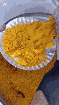 عندك عزيمة وحاير منين تطلب؟  مالك غير مطعم ملوك المندي 
رقم التوصيل ***********
العنوان ديالى بعقوبة حي المعلمين شارع الخدمي مقابل بوليفارد 
#ديالى #مندي #ملوك_المندي
