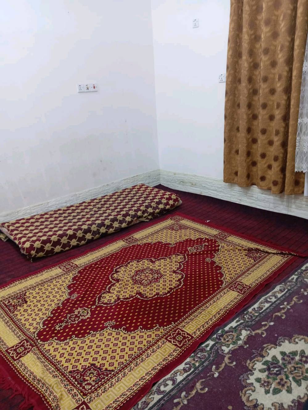 بيت بنصف السعر في حي السجاد خلف مرقد الحر سلام الله عليه
يعتبر فارغ جيب غراضك واكعد 
بيت ٥٠ متر في حي السجاد الاول بناء سنة ٢٠٢٢ طابقين 

السعر 35 مليون

سبب البيع بناء مستعجل عليه

طابو ٢٥ تحويل مباشر باسم المشتري
منطقة هادئة 

كل الخدمات متوفرة وديتم قرنصة فرع البيت

للتواصل ***********