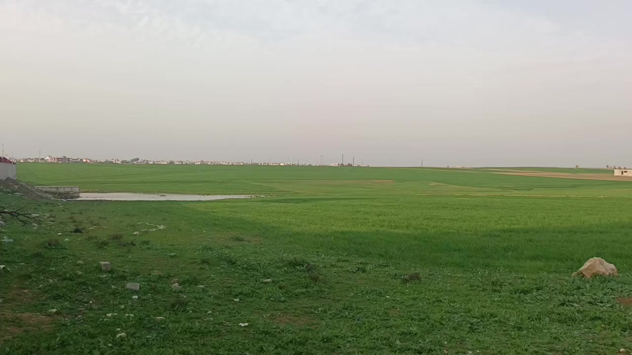 أرض دونم أو نصف دونم للبيع سند زراعي ٢٥ يبعد عن شارع عام ٥٥ م يوجد ماء كهرباء طريق
يقع على شارع تلكيف بعويزة
‏‪***********‬‏
