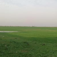 أرض زراعي • بعويزة • سند زراعي