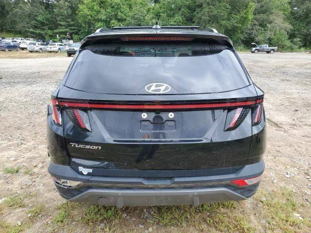 *هونداي توكسـان موديـ2024ـل*
*السعر140$(مصلح)فول بنوراما*

*عندك كتاب شهداء تخليص 8 ورقات فقط وترهم حرة*

🌟انضم 👇كروب واتساب لبيع السيارات  النشر #يوميآ🌟 https://chat.whatsapp.com/LmoUT9cGluM1uBhyOYzAI9
لاسفتفسار يرجى الاتصال او المراسلة واتساب ***********
يوجد لدينا مكاتب في جميع المحافظات للغرض المكاتبة نتميز من الاخوة المستوردين بنضام العربون يتم دفع نصف مبلغ السيارة والباقي لحين الوصول السيارات الجاهز للشحن
