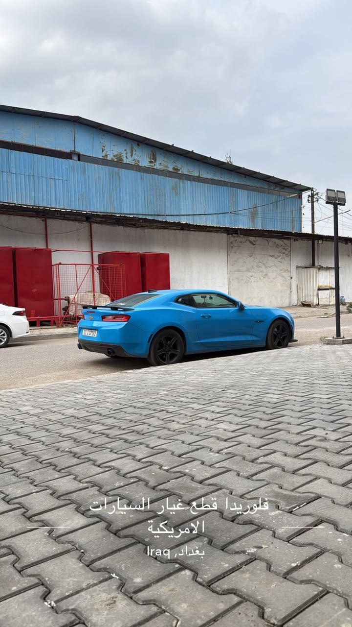 للبيع او مراوس ب رانج 2010 و انت صاعد كمارو 2016
v6-

-كمارو 2016

-تغير لون مميز بشكل السياره

تحفه ماشاالله

-حداديه جديده اصليه امامي خلفي

-مكينه مال 2018 جديده

-السياره نشطه بمعنا الكلمه

الوصف

-شاشه كار بلي

-زنون

-هاند بريك كهربائي

-السياره كامله مكمله

-السياره رقم بغداد الجديد

-ب اسمي شرط التحويل

-مصفره غرامات

-

السياره عليها برمجه تخبل

-

- فلتر شوته رياضي

-

السياره مكملها على 24 حبايه مابيها كلبسه نقص

-

ضفايرها كلها جاهزه كلشي بيها شغال

-

لتقارنها بالمهجومات و الكايمات و البيهن نقوصات بكد سعرهن

-

-

السياره سعرها 🚨111🚨 و بيها مجال للشراي


**إذا كنت صاحب هذا الإعلان وتريد حذفه لأي سبب، رجاءا أرسل رسالة إلى الدعم الفني**