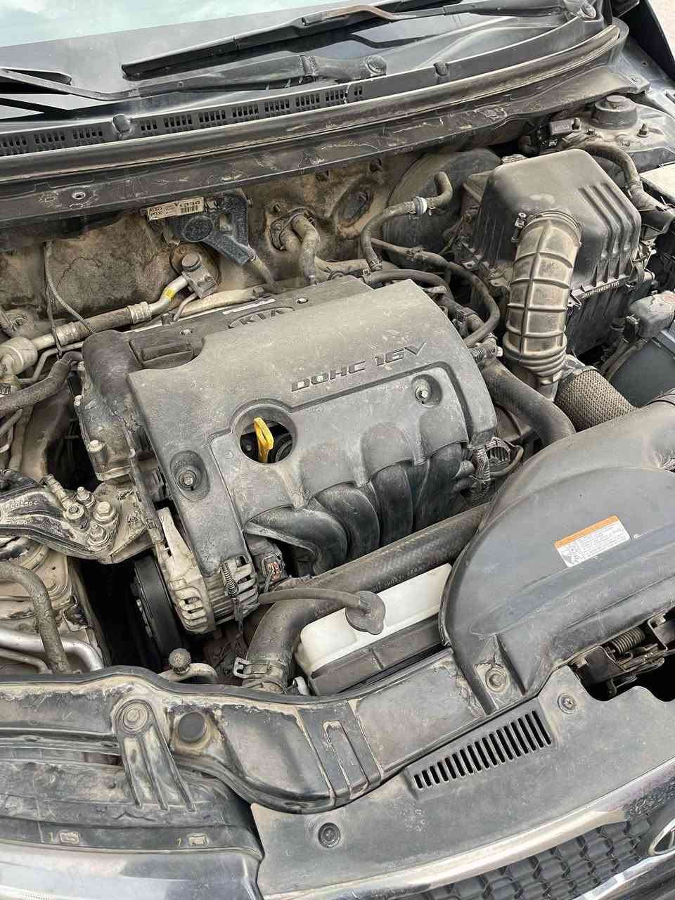 سلام عليكم 
نيسان التيما بۆفروشتن
موديل ٢٠١٧ ره نگ نه وتي ٤ بستون
مواصفات:-به سمه و شغال بيلادي و رادار + ته بريد له مس و شاشه كاميره كوشين كاره بايي + ويل ١٨ لايت ره ش …
*سه ياره كه ٤ بارجه ي ته نيشتي سبوخه
ره قه م شاصي 1n4al3apxhc205088
گیڕ و مه كينه نه كراوه ته وه به شه رت ته بريد كاره بايات هه موو مه زبووته و توندو تۆلە تاخم تايه و باتري هايدروليك گیڕ تازه يه سه ياره ي ده سته بي مه سروفه 
نرخ ١١٦
ژماره ي موبايل *********** + واتساب أربيل, العراق
