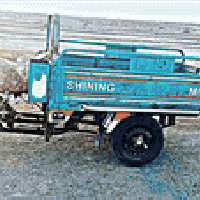 ستوته • صقر أوراق أصلي • كله جديد