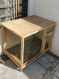 طيور • كوكتيل • حي التراث