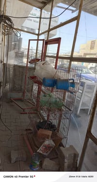 سلات جبس • ٣ قطع • رف وسطي