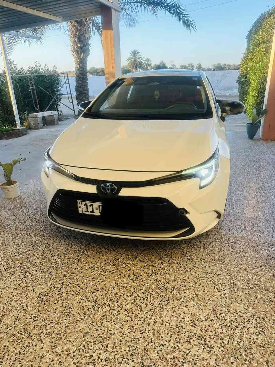 24 ماشيه 62 كفاله بيها بارد فقط مأشر رقم بغداد تحويل مباشر السعر 145 الاستفسار ***********
