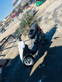 ماكس سكوتر • معدل مكينه 55 • شهداء