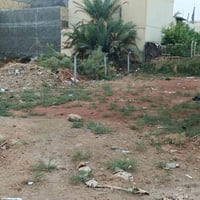 شارع بيوت المالكي • ٢٠٠م زراعي • مياه كهرباء