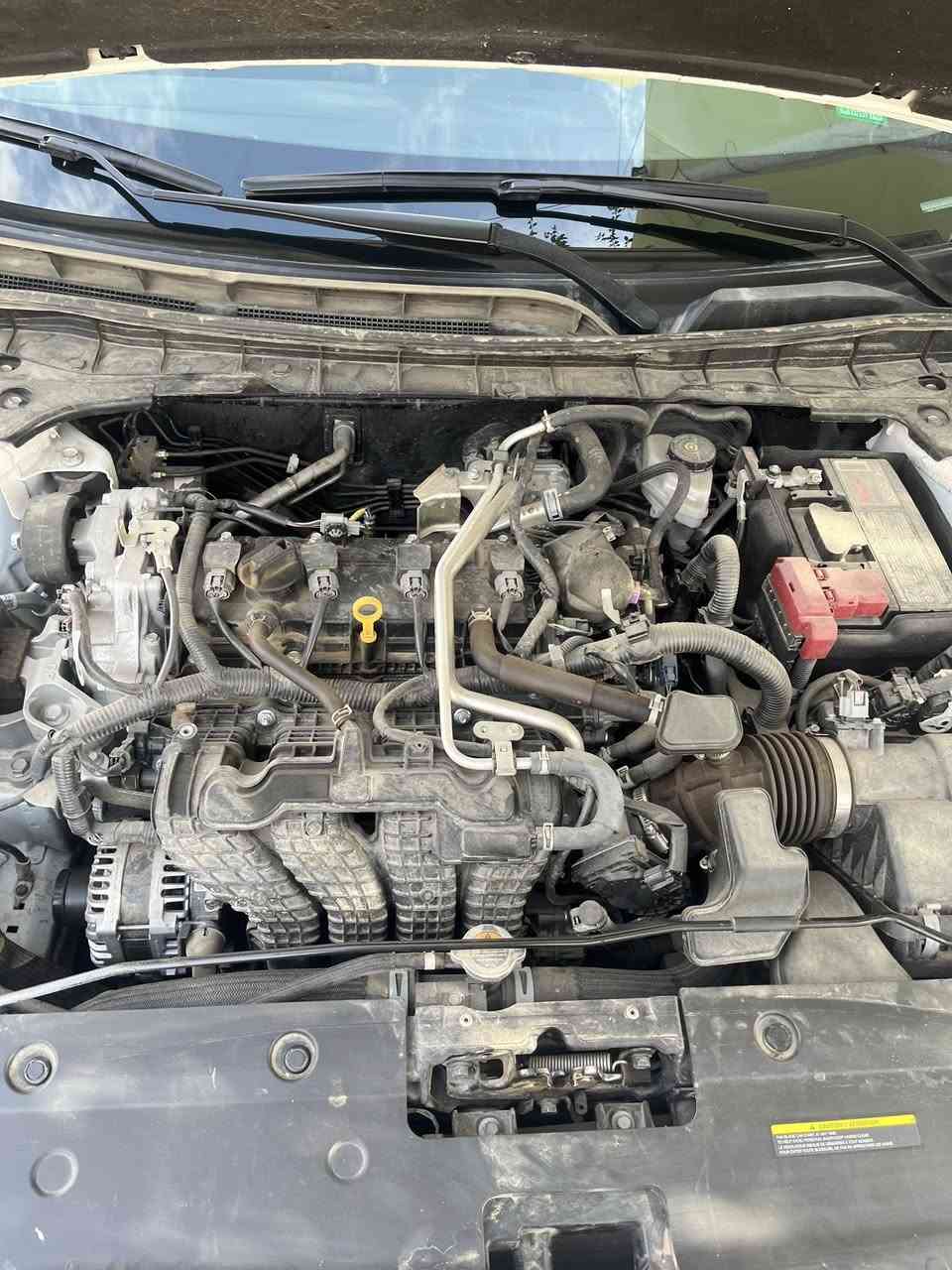 nisann altima sv 2024
بدون صبغ 
14,000ml 
رقم هاتف ***********
